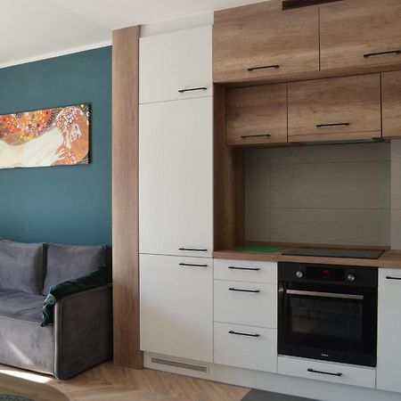 Apartment Sosnowiec City - Free Parking - Easy Check-In Exterior photo